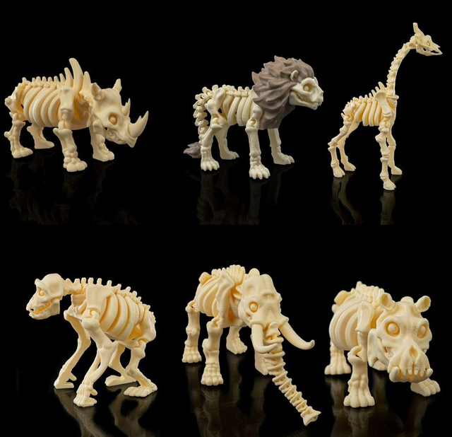 Animaux flexibles : Les petits squelettes (partie 3)