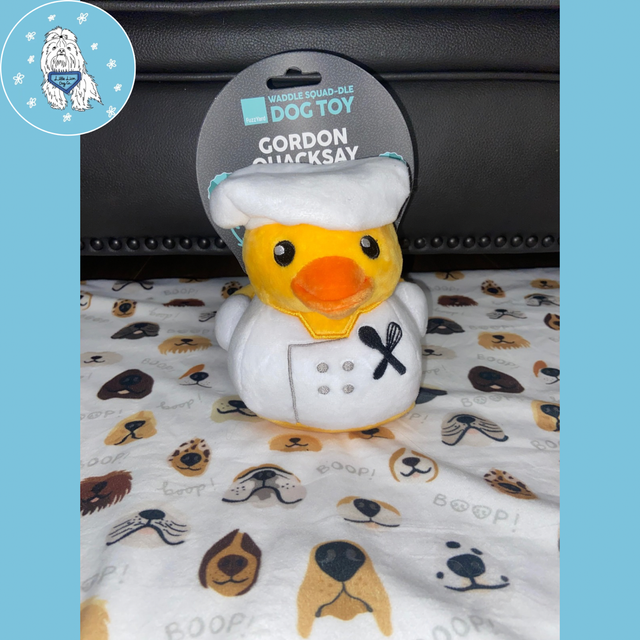 Fuzzyard Gordon Quacksay plush dog toy 