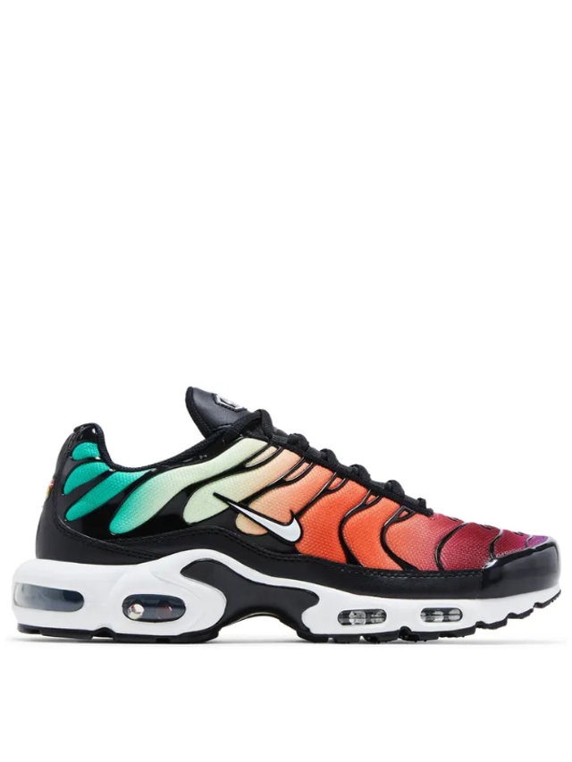 Nike Air Max Plus Rainbow (Taille 42)