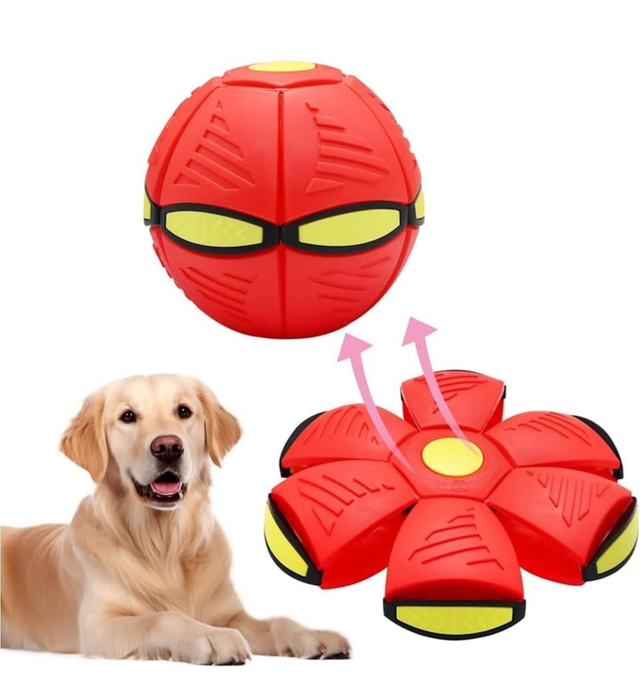 Stomp Ball
