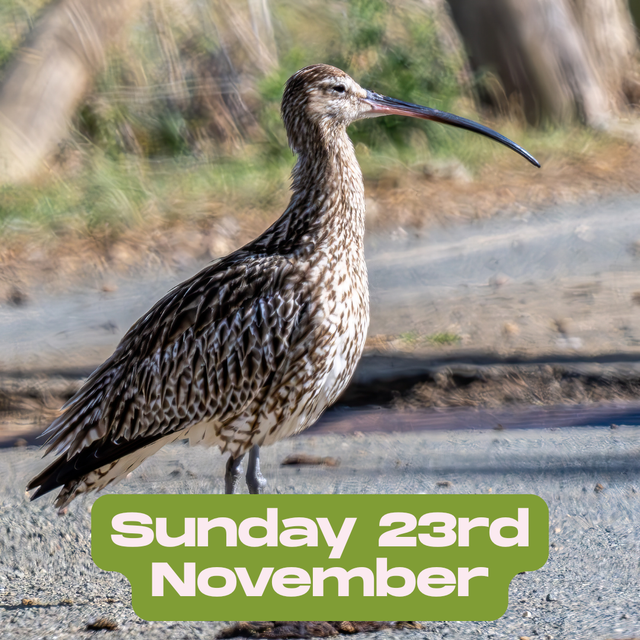 Sunday 23rd November - Tysoe Village Hall