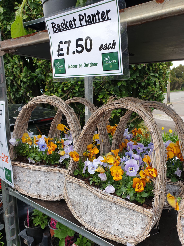 Whitewash Wicker Basket Planter -  Handle Planter
