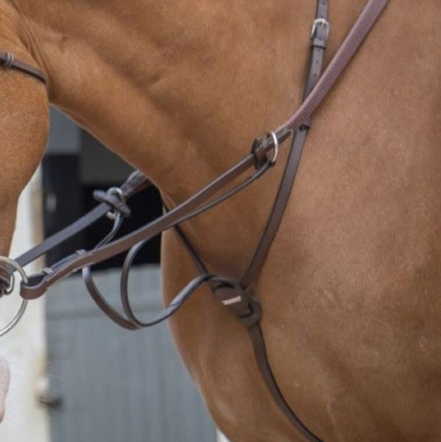 Martingale JUMP'IN à anneaux One