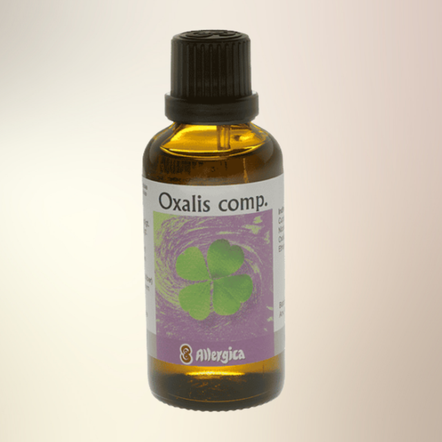 Oxalis comp.