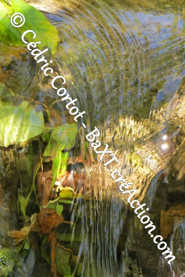 Impression sur alu dibond - Reflets et cours d'Eau (ref 5896)