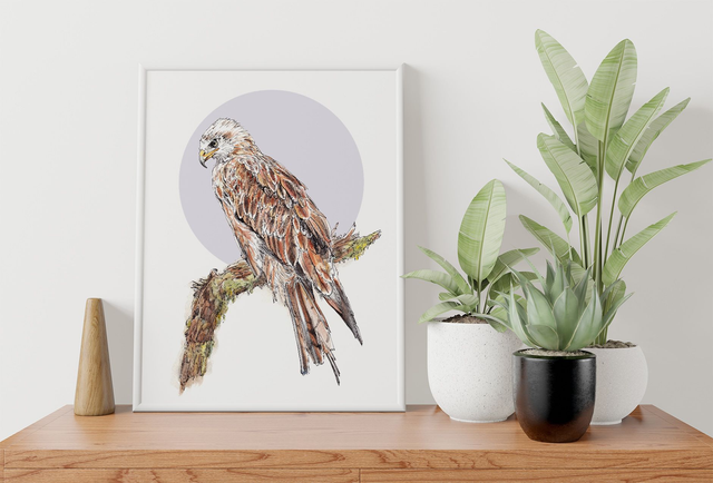 Red Kite Print - After an original ink and watercolour illustration