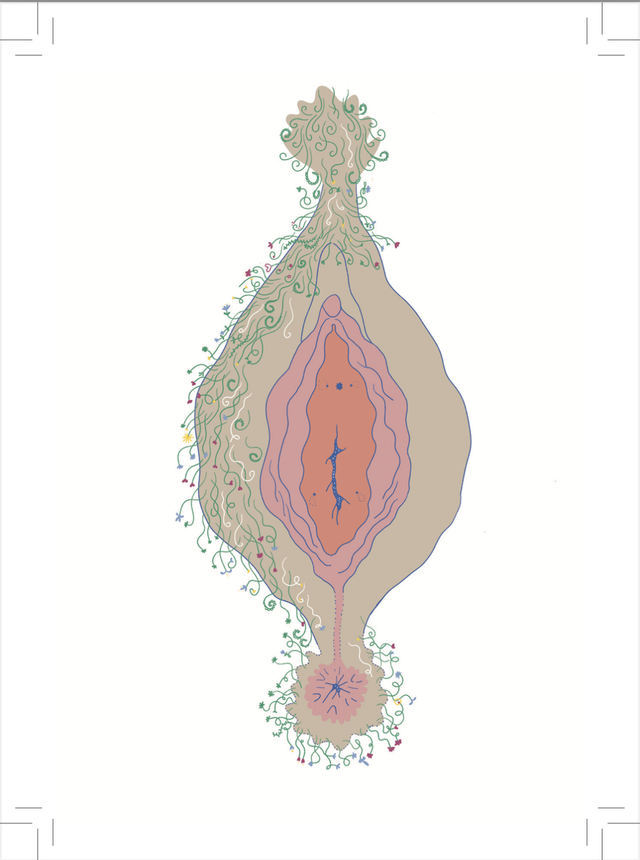 Carte postale Schéma Vulve