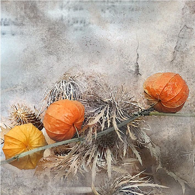 Print  'Faded into Dust'