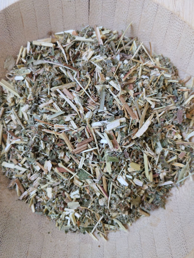 Reine des prés (Filipendula ulmaria)