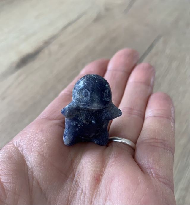 Pokémon Carapuce Aventurine Bleue