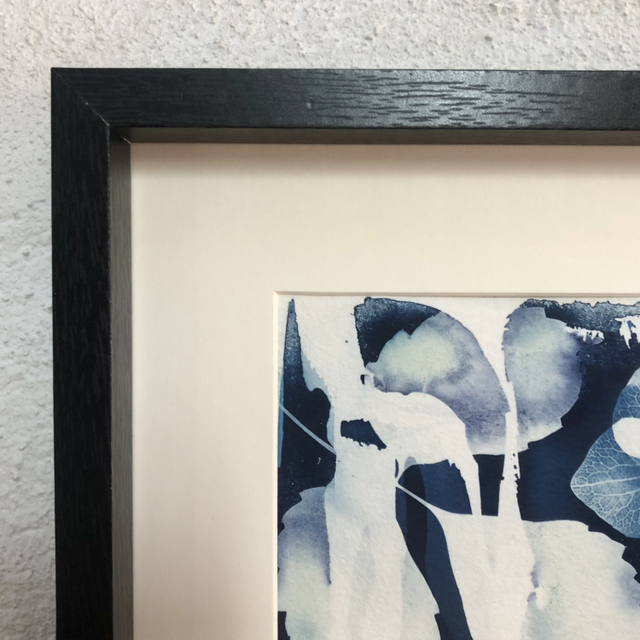 Cyanotype - « Laisse »