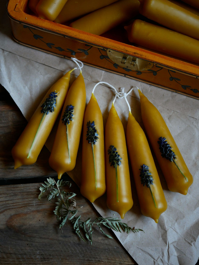 Bougies trempées MUSCARI