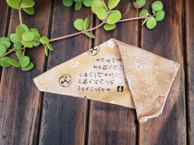 Bandana pour chat et chien grande taille