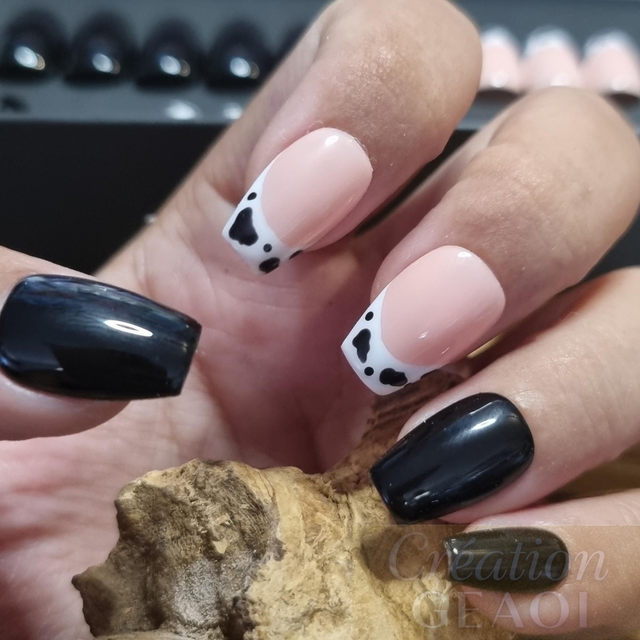 French dalmatien black little coffin xs