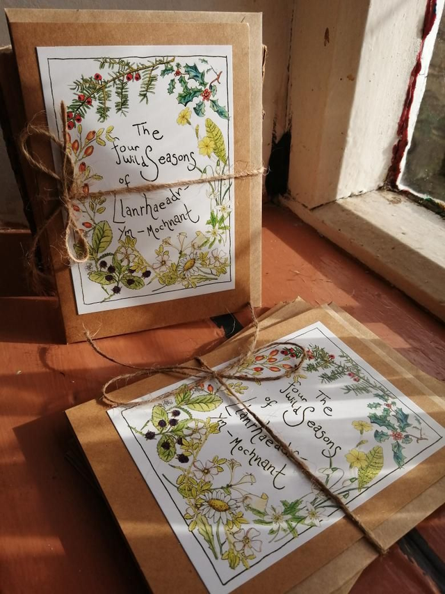 Four Wild Seasons Greetings Card 