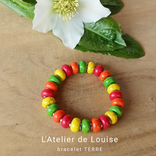 TERRE   Bracelet     🍏🍊🔴 💛