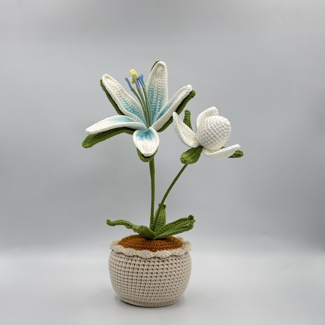 Pot de Princesse Sérénité