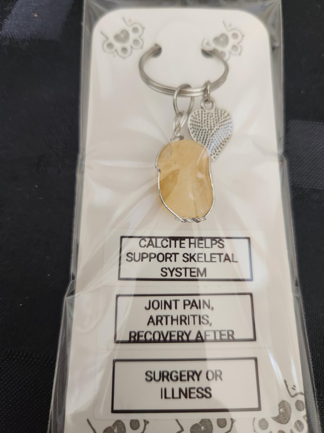 CALCITE SUPPORTS SKELETAL SYSTEM 