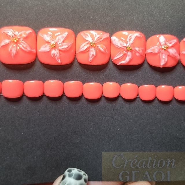 Corail sun flower little pieds