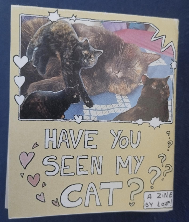 Zine - Have you seen my cat?