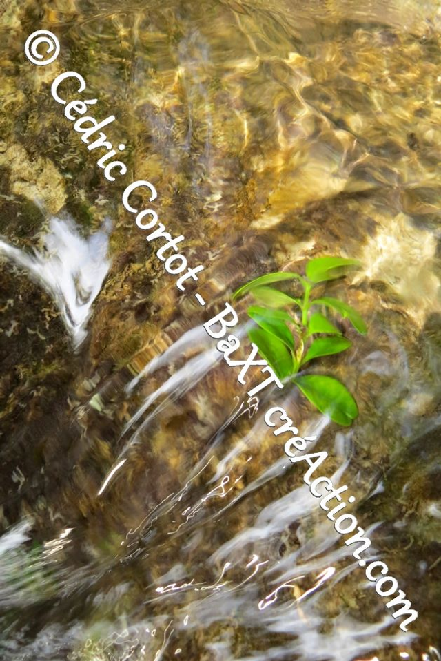 Impression sur alu dibond - Reflets et cours d'Eau (ref 6468)