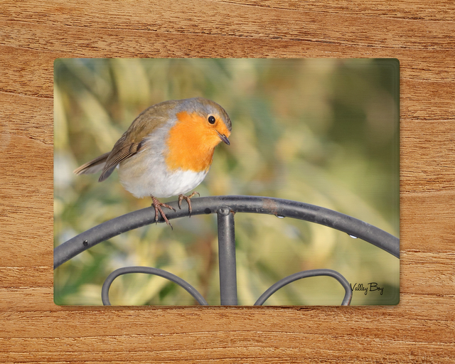"Robin" Glass Worktop Saver  