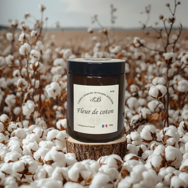 Fleur de Coton