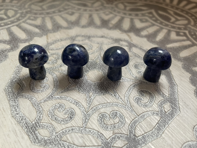 Mini Toadstool - Sodalite