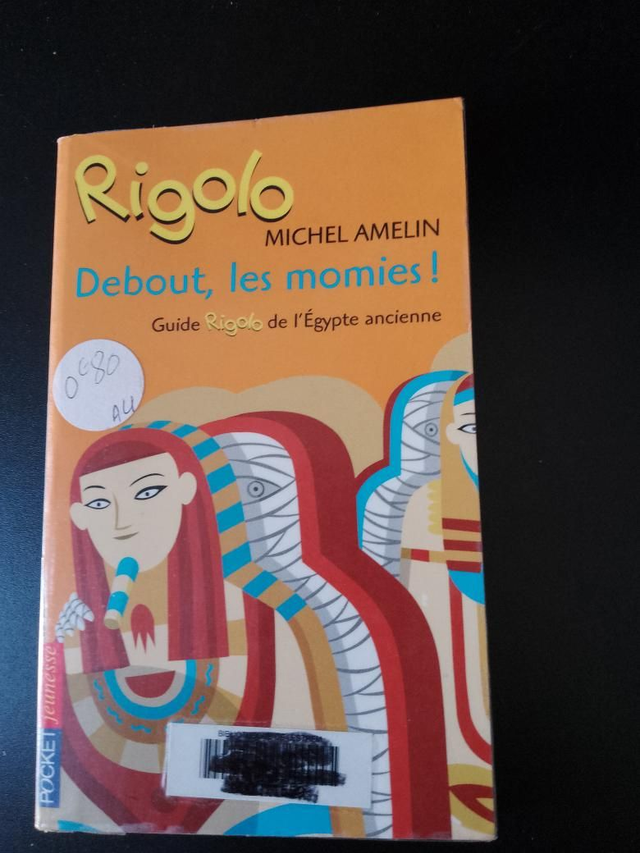 Debout, les momies ! Michel Amelin