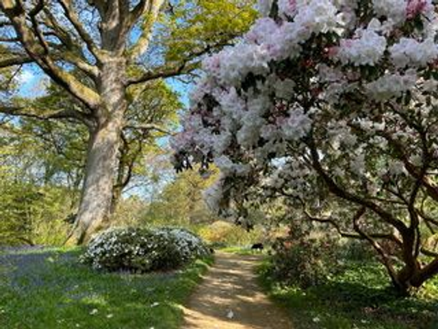 1 x Ramster Garden Entry as a voucher valid April & June - Nov