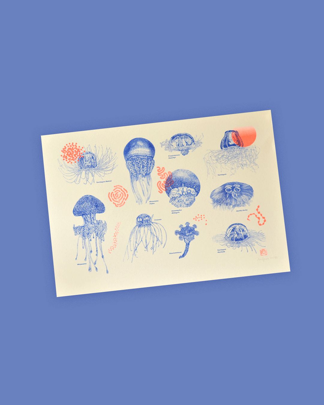 Affichette A4 Neon Jellyfish