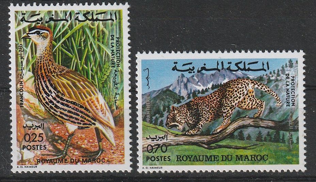 Morocco Maroc 1974 Animals,Bird,Leopard MNH