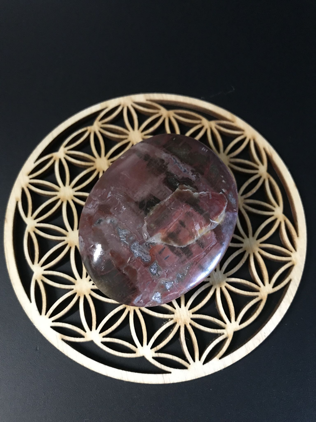 BOIS FOSSILISE - Galet 3 [Madagascar]