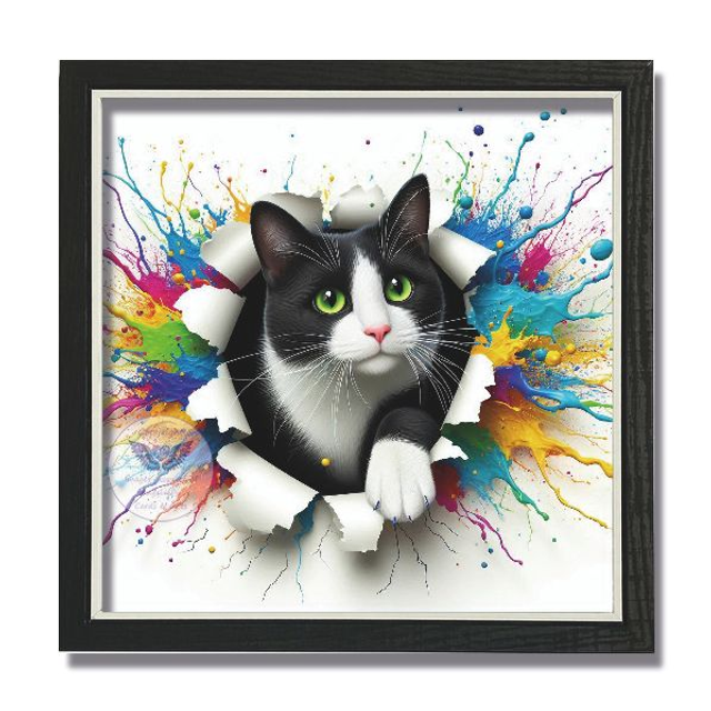 Artistic print of cat in square frame (C43)