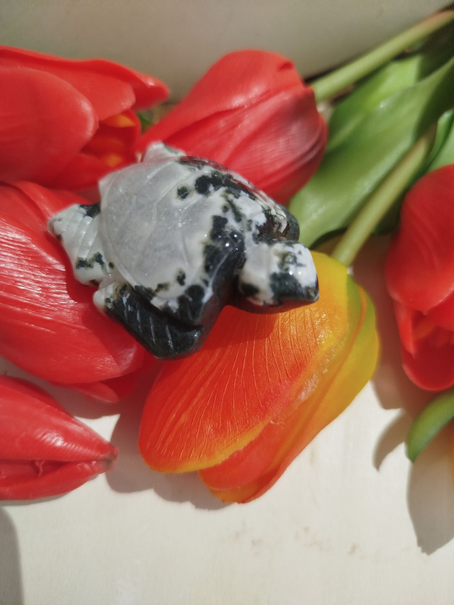 Tortue en Agate Mousse