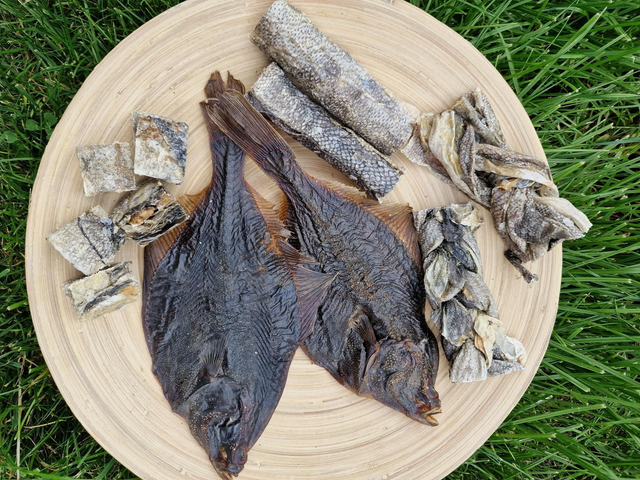 Woof It Down Wednesday