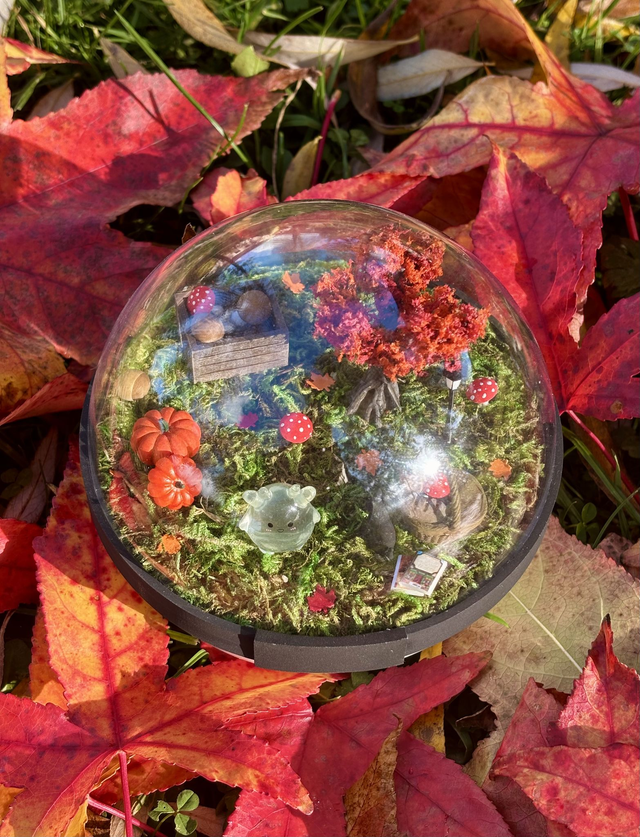 🍂 Terrarium esprit de la forêt - Édition Automne