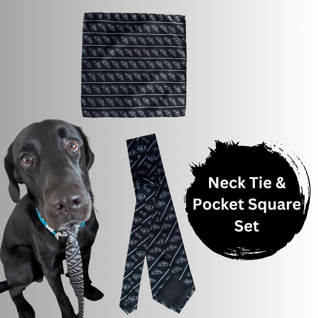 TETC Formal Tie &amp; Pocket Square set