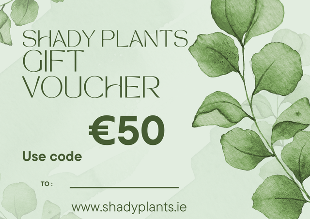 €50 Gift voucher 