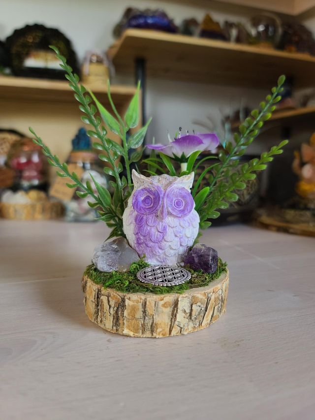 Hibou Améthyste 💜