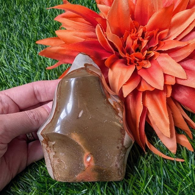 Polychrome Jasper / Desert Jasper Flame / Freeform