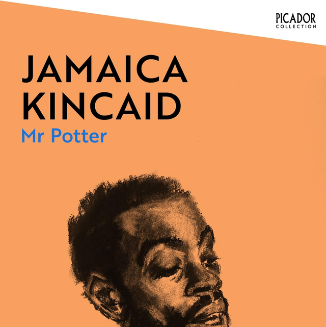 Mr Potter | Jamaica Kincaid
