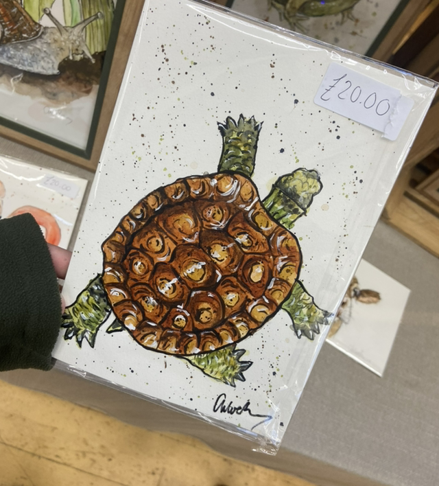 Terry Tortoise A5 Original Artwork (unframed)