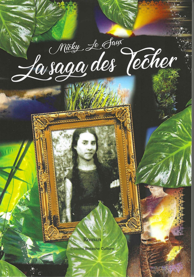 ABC / Le Saux  Micky - La saga des Techer.