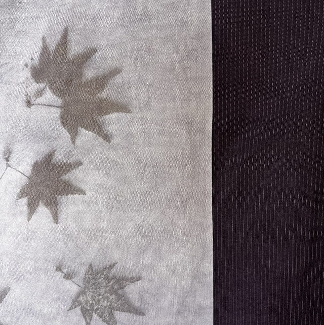 Chemise à pans Aubergine érable
