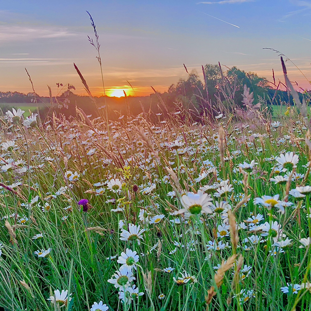 MASSAGE RELAXANT (45 min)
