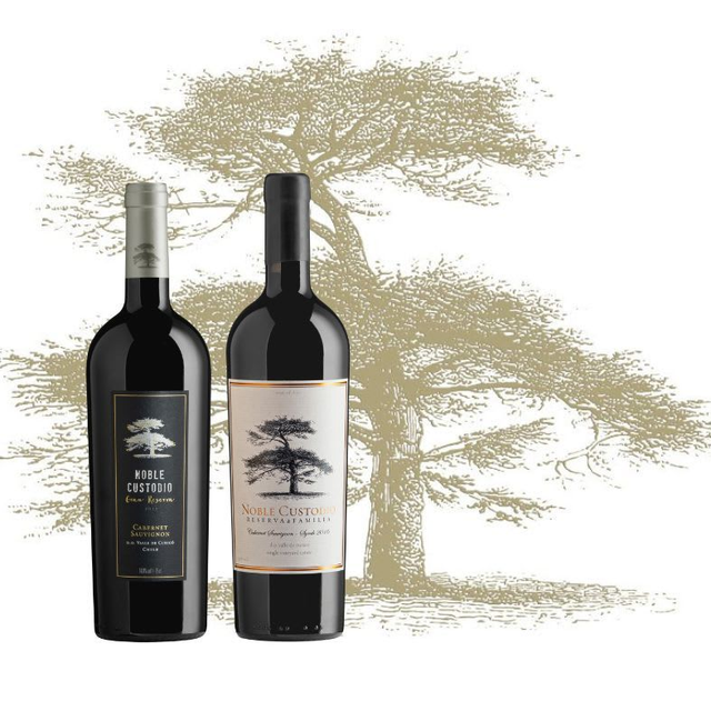 Caja Cabernet Sauvignon Gran Reserva - Cabernet Sauvignon Syrah Reserva de Familia - 6 UN