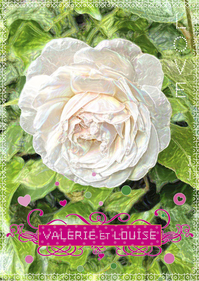 AFFICHE A3 / FLORE (18) personnalisable
