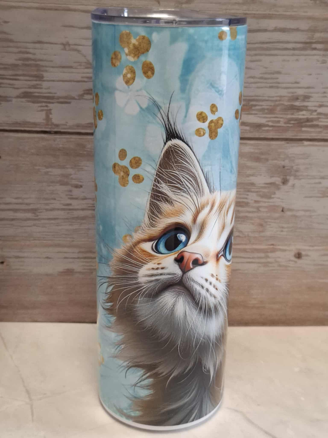 Gourde canette Maine coon