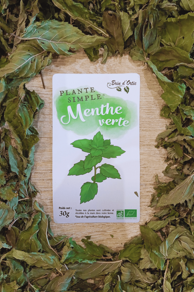 Plante simple, Menthe verte 